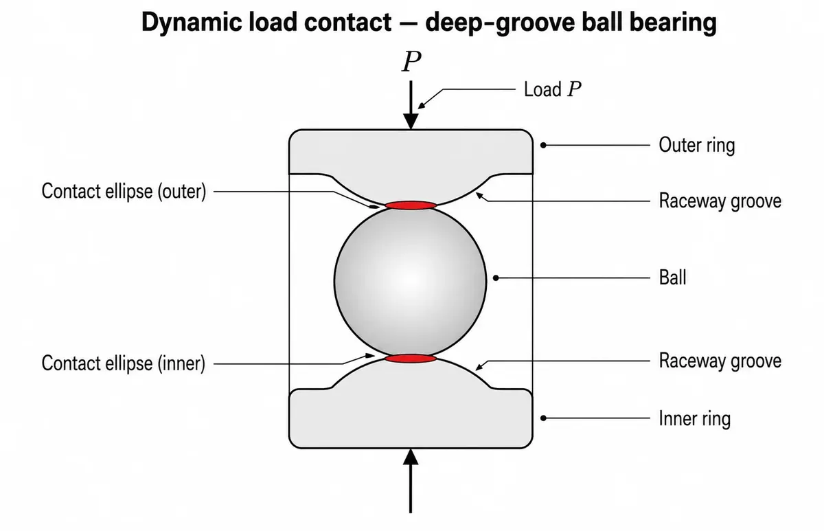 Cross-section of a deep groove ball bearing showing the contact ellipse between the rolling element and raceway under dynamic load