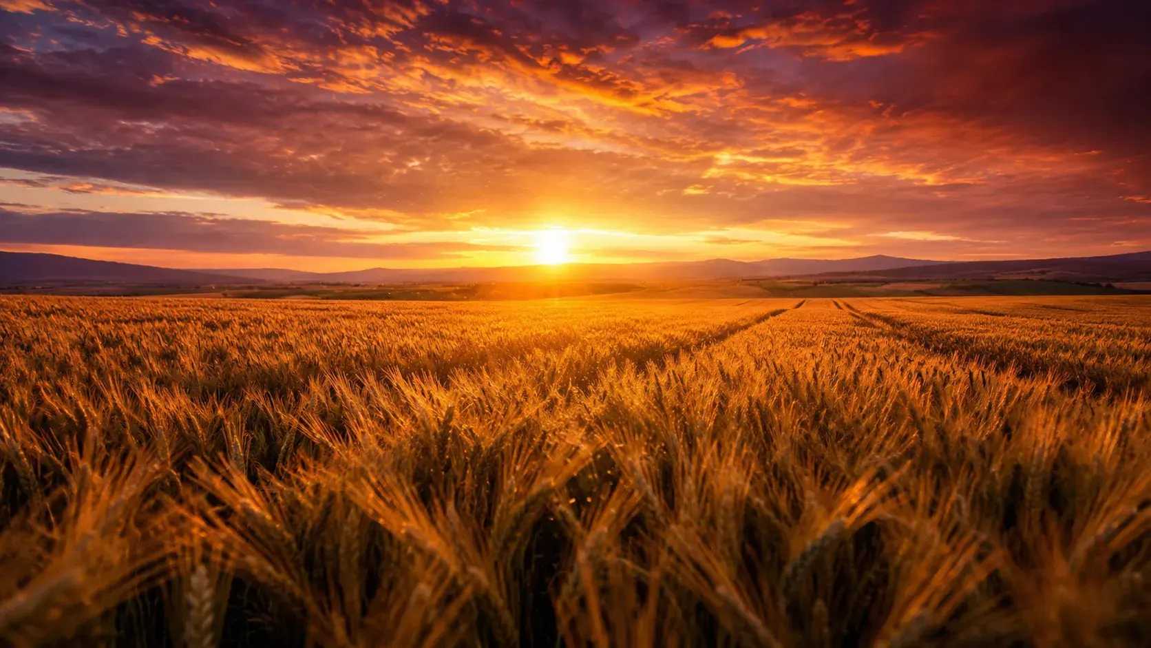 Agriculture & Forestry